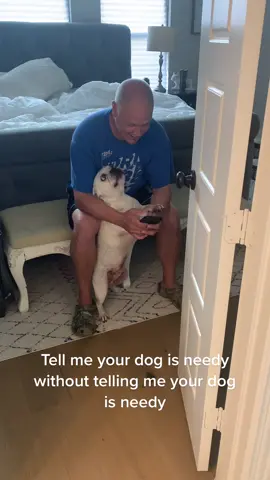 Pet. Me. Damnit.  #MakeItCinematic #IKnowWhatYouDid #TreatiestCupContest #fyp ##frenchie #frenchbulldog #frenchiesoftiktok