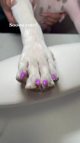 Puppy nail day😭 #fyp #foryoupage #fypシ #nailtech #acrylicnails #nails #az #aznailtech #puppy #dogsofttiktok #MakeItCinematic #IKnowWhatYouDid