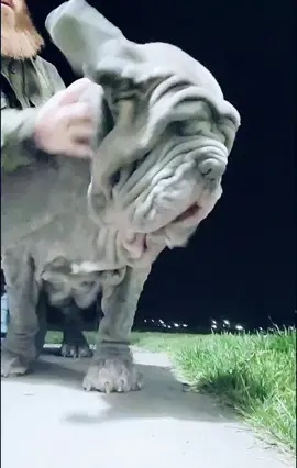 #ceoofwrinkles