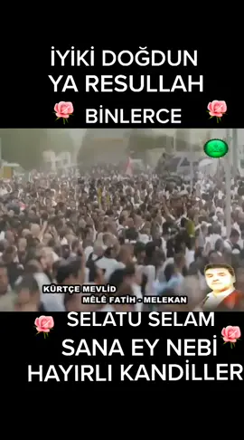 🌹☝🌹#