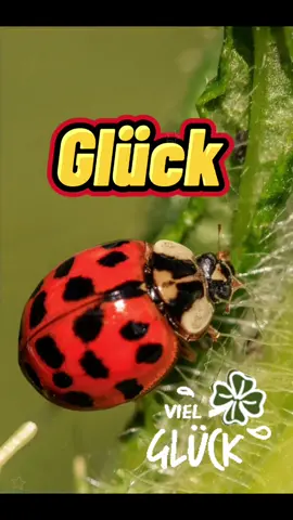 #fürdich #glück #vielglück