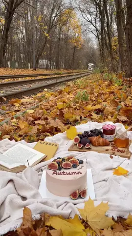 Autumn comes🍁🍂 #autumn #aestetic #осеннеевдохновение #cake