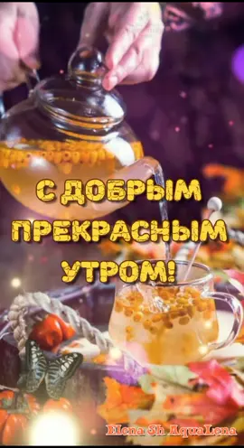 #доброеутро #сдобрымутром #доброеутречко #видеооткрытка