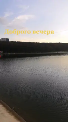 Добрый вечер😘#рекомендации #добрыйвечер #золотойзакат☀💥 #момент #настроение#красотаприроды #всехобнимаю #всемдобра #длядрузей #моймир ##осень2021 #ставрополь #комсомольскоеозеро#лесноеозеро #лес#озеро #закатсолнца#солнце #длядуши #отдых #отражениевводе#солнечнаядорожка#закатзалес#октябрь#вечер
