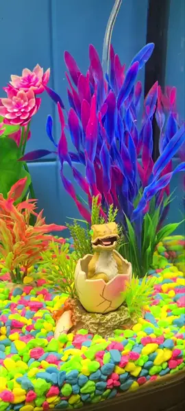 New addition to the fish tank 😂 #fishtank  #fishtok  #fish  #dinosaur  #babytrex