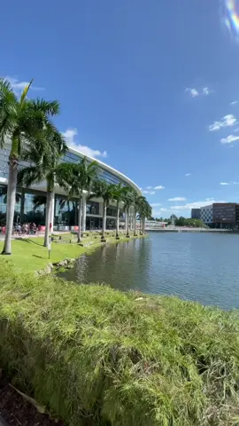 Spend the afternoon with me #umiami #grwm #morningvibes #morningroutineaesthetic #college #collegelife #collegegotmelike #Vlog #dayinthelife #TargetHalloween #fypシ