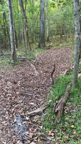#naturewalk