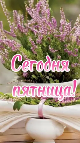 #доброеутропятницы