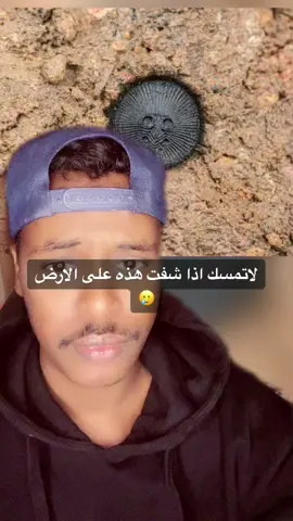 Like& follow #تيم_مايند #قصص_صديق