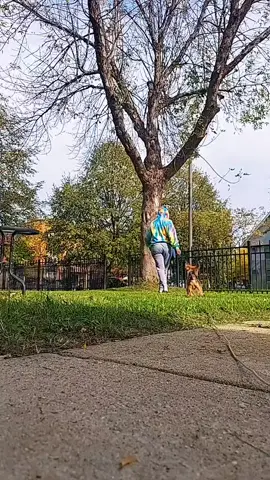 this tree and I needed a hug. if this is on your for you page you need a hug too. 😇 go find a tree.