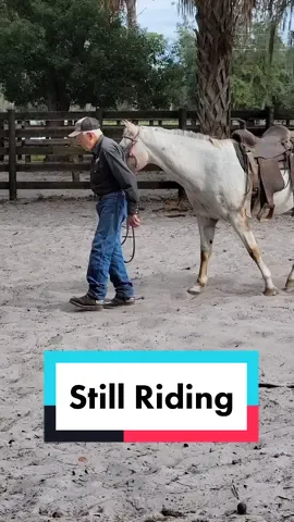 He schools on me too. #fyp #foryou #foryoupage #horsesoftiktok #horsetrainer #horses