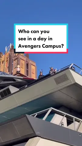 Who else have you seen in #avengerscampus? 🕸⚡️🏹 #marvel #loki #thor #disneyland