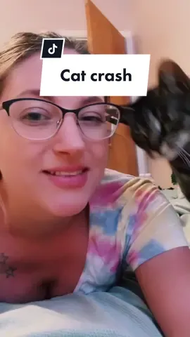 #catmom #catsoftiktok #cutecat #PetsOfTikTok #catmomlife #cats #catlove #fyp #foryoupage #KFCSecretMenuHacks #dmb