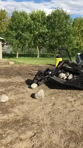 We call it the stone gobbler