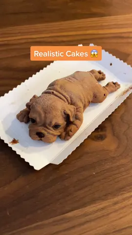 #realisticcakes #dogcake #icecreamcake #scaryfood #realisticfood #cake #dessert #cakedesign #pugcake #chocolatecake
