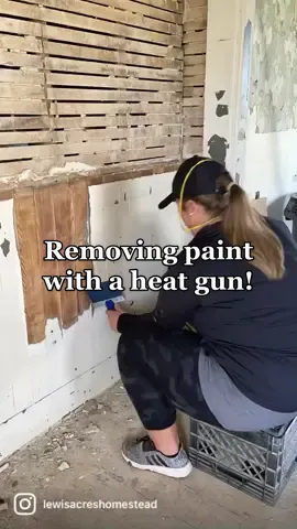 #paintremoval #paintremover #paintremover2021 #peelingpaintoffthewalls #heatgunthankgoodness #heatgun
