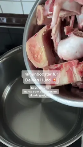 #rezept #bonebroth #rottweiler #tiktokdeutschland #barf #hundeernährung