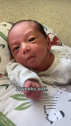 How do they grow up so fast??! 😭😭 #PradaBucketChallenge #fyp