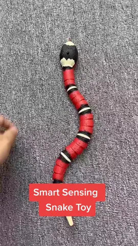 Smart Sensing Snake Toy