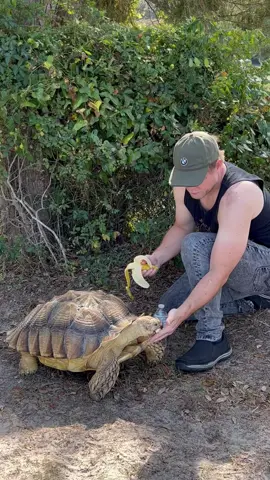 Riley loving a banana with his best friend #animalsoftiktok #nature #goodvibes
