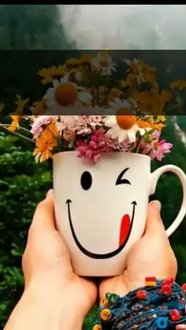 #ابتسم ☺️#فأنت #الخير لكل #صباح🤗🌺