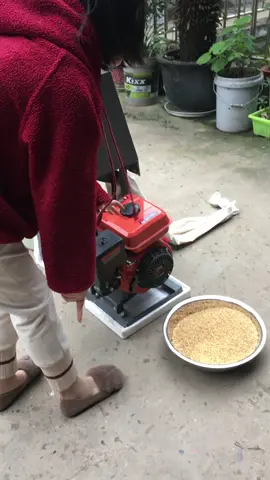 mini rice milling machine with petrol engine ,capacity:150kg/hour #ricemillingmachine #dawnagro