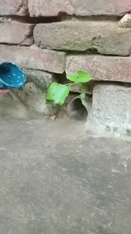 Painting 101