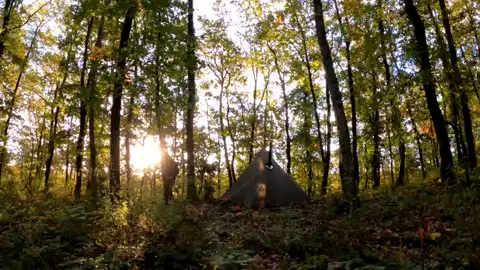hot tent camping in the rain with my dog #wargehbushcraft #tiktok