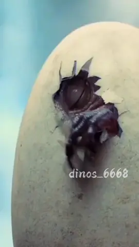 немного не под музыку(#индоминусрекс #эдит #🦖Dinopark🦕 #🦖Dinopark🦕