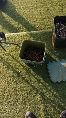 You can never fish too much.. #fyp #fishing #foryoupage #angling #bait #nayzofishing