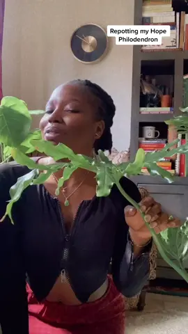 Repotting my Philodendron 🤗#music #blacktiktokcommunity #blackwomen #blacktiktoks #blackplantmom #naturelover #blackgirllocs
