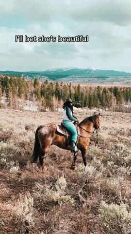 I’ll bet she’s beautiful… #TheHarderTheyFall #fyp #foryou #cowboys #rodeo #barrelracer #horses #bucklebunny