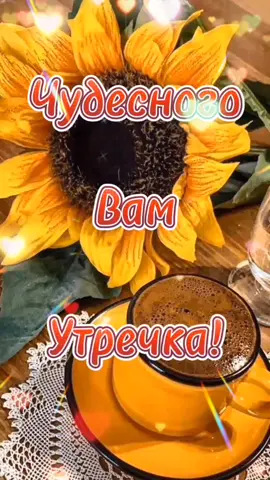 #поздравляювТикТок