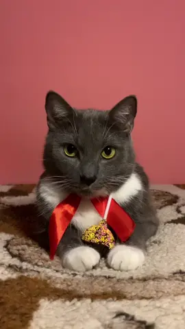 Про тебя ☺️