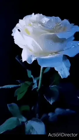 #СберегиПланету #доброеутро #всем здоровья #