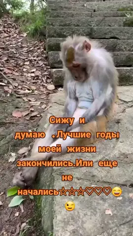 #вреки #прикол #юмор #🤣🤣🤣🤣🤣🤣🤣🤣🤣🤣🤣🤣🤣🤣🤣🤣