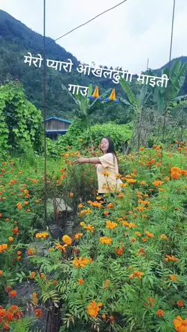 तिहार आइ सक्यो दसैको भिडियो है#❤️❤️❤️❤️🤞🤞🤞🤞🤞💞💞🔥💞❤️ #🙏🙏