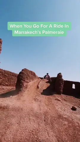 Whose going off-roading in Morocco? #palmeraie #marrakech #morocco #moroccotravels #fourwheelers #offroading #moroccotiktok #moroccotravel #adventure