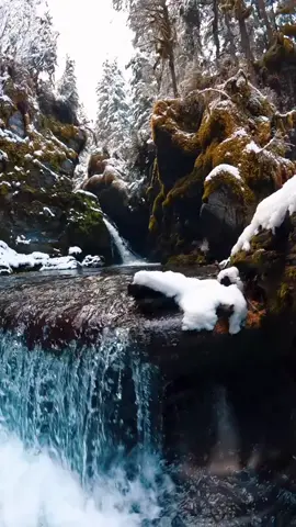 Beautiful Place Alaska...#foryou #foryoupage #Natural #Alaska