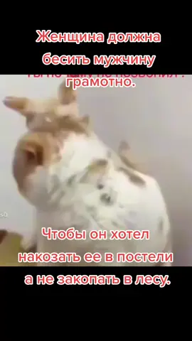 ##Прорвемся #Кайфуем #Поржем
