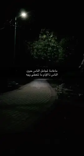 #مسك_مها #تيك_توك #MOTFqualitypicks #اكسبلور_فولو #اكسبلور #fypシ #قصايد