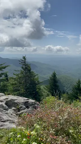 In love with North Carolina 💚 #northcarolina #northcarolinacheck #blueridgeparkwaync #blueridgeparkway #blueridgemountains #traveltok #roadtrip