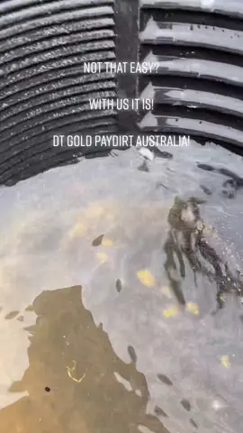 #stitch with @dtgoldpaydirt #prospecting #gold #goldnugget #sluice #paydirt #nugget #golddigger #mining