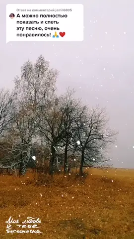Ответ пользователю @jamil6805