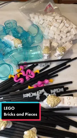 LEGO Bricks and Pieces order #lego #legobricksandpieces #legotiktok