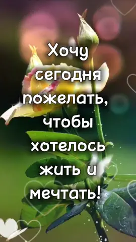 #СберТанцы