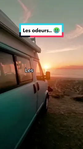 En voiture t'as jamais cette impression ahahaha 🤬 #odeurs #singleday #vanlife