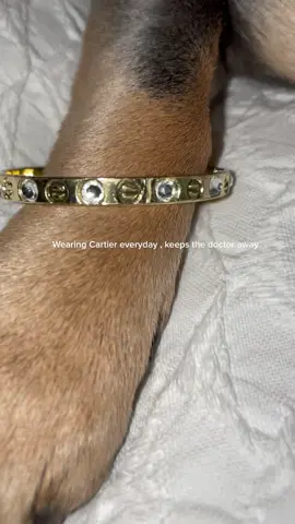 … isn’t that how it goes? I know it’s something like that … #spoiled #drip #sheneededit #thatpawtho