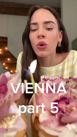 Vienna - part 5 🌞 @lana.renee @welcometoheidi @yourkoreandad @clubpenguinlily #thirtyflirtyandthriving #shotoniphone