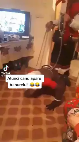 Care ati mai dost cu ursul in copilarie?
